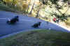 JPM2008_0828.jpg (78916 Byte)