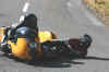 JPM2008_1010.jpg (49384 Byte)