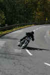 JPM2008_1017.jpg (60363 Byte)